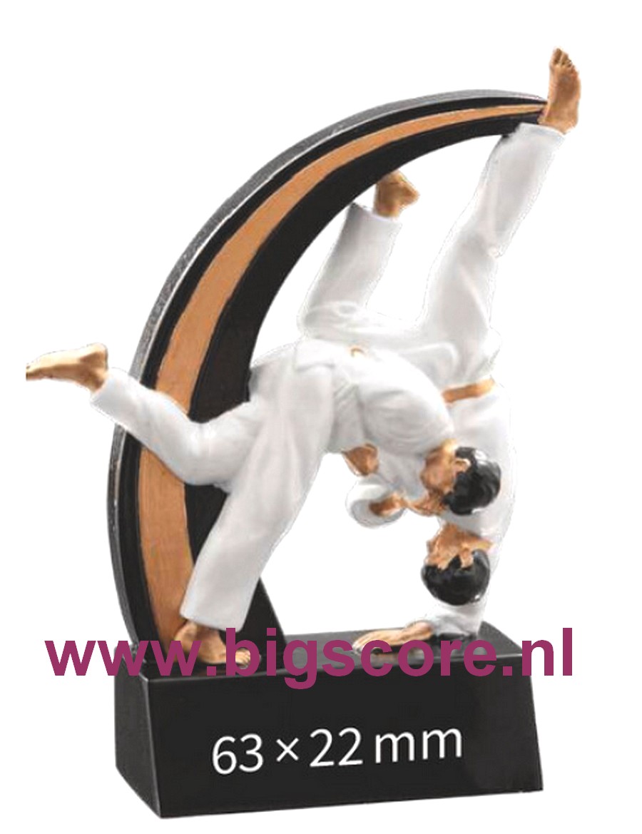 Judo Heer Resinbeeld BSST 39804